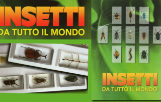insetti da tutto il mondo in edicola