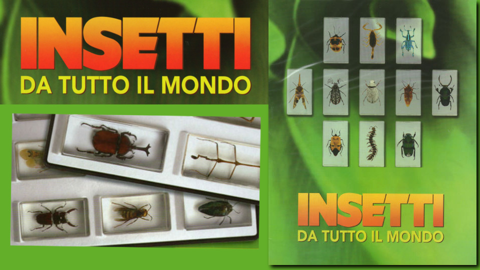 insetti da tutto il mondo in edicola